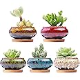 LamDawn Cute Ceramic Succulent Garden Pots, Planter with Drainage and Attached Saucer, Set of 5 -Plants Not Included (Burner)