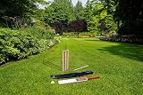 DIVCHI Kids Cricket Set Wooden Bat Stumps Ball in Mesh Bag Size 5 Age 8-12 view 2