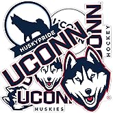 Desert Cactus University of Connecticut Sticker UConn Huskies Sticker Vinyl Decals Laptop Water Bottle Car Scrapbook Sheet T2 (Type 2-2)