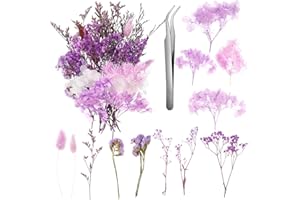 AURORAY Real Dried Flowers, Natural Dry Flowers Mixed Natural Pressed Flowers Flores Secas Dried Florals for Crafts,Resin,Candle Making (Purple)