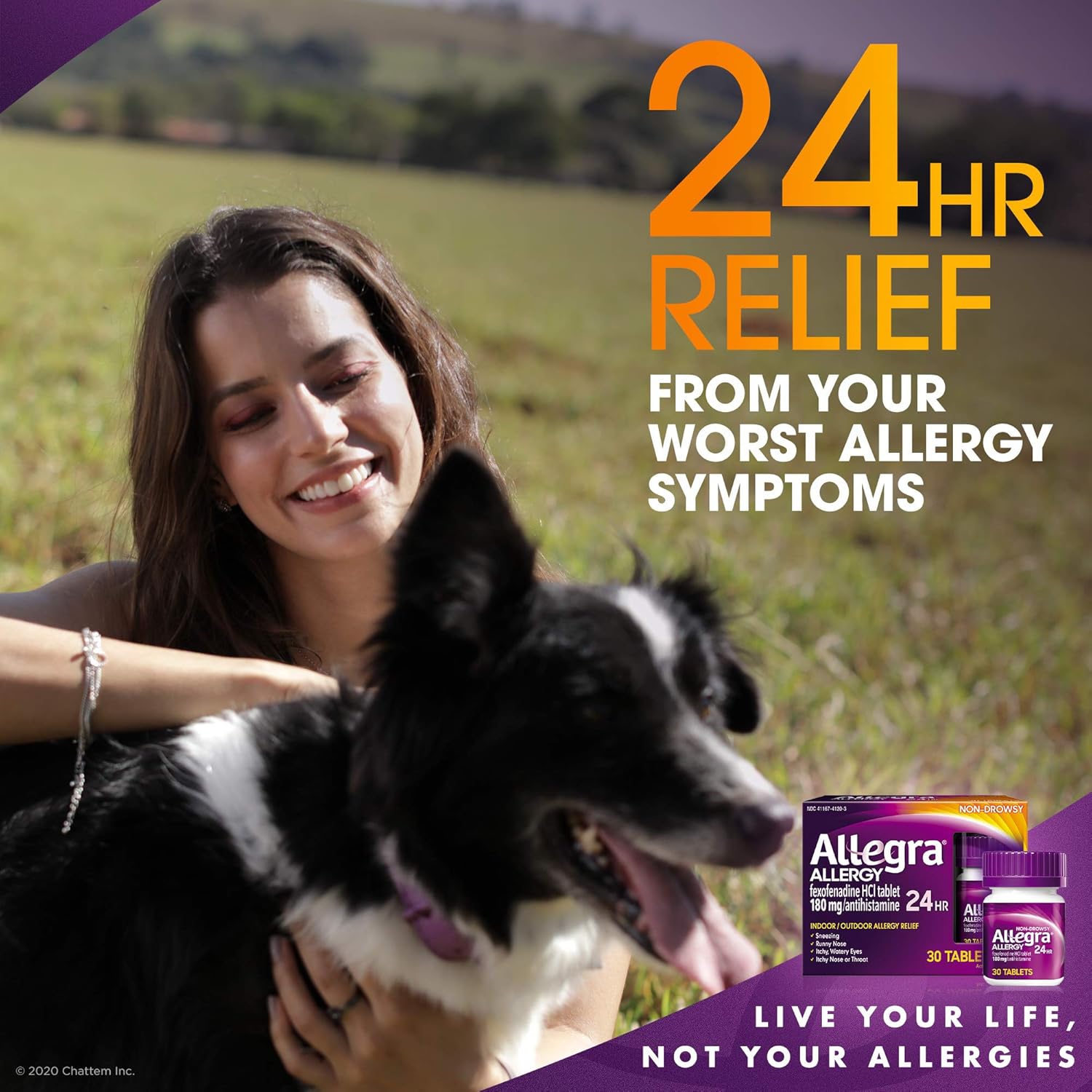 Can Allergies Cause A Cough In Dogs