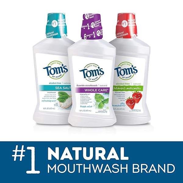 TOM’S OF MAINE, WHOLE CARE NATURAL MOUTHWASH – FRESH MINT, 16 OUNCE