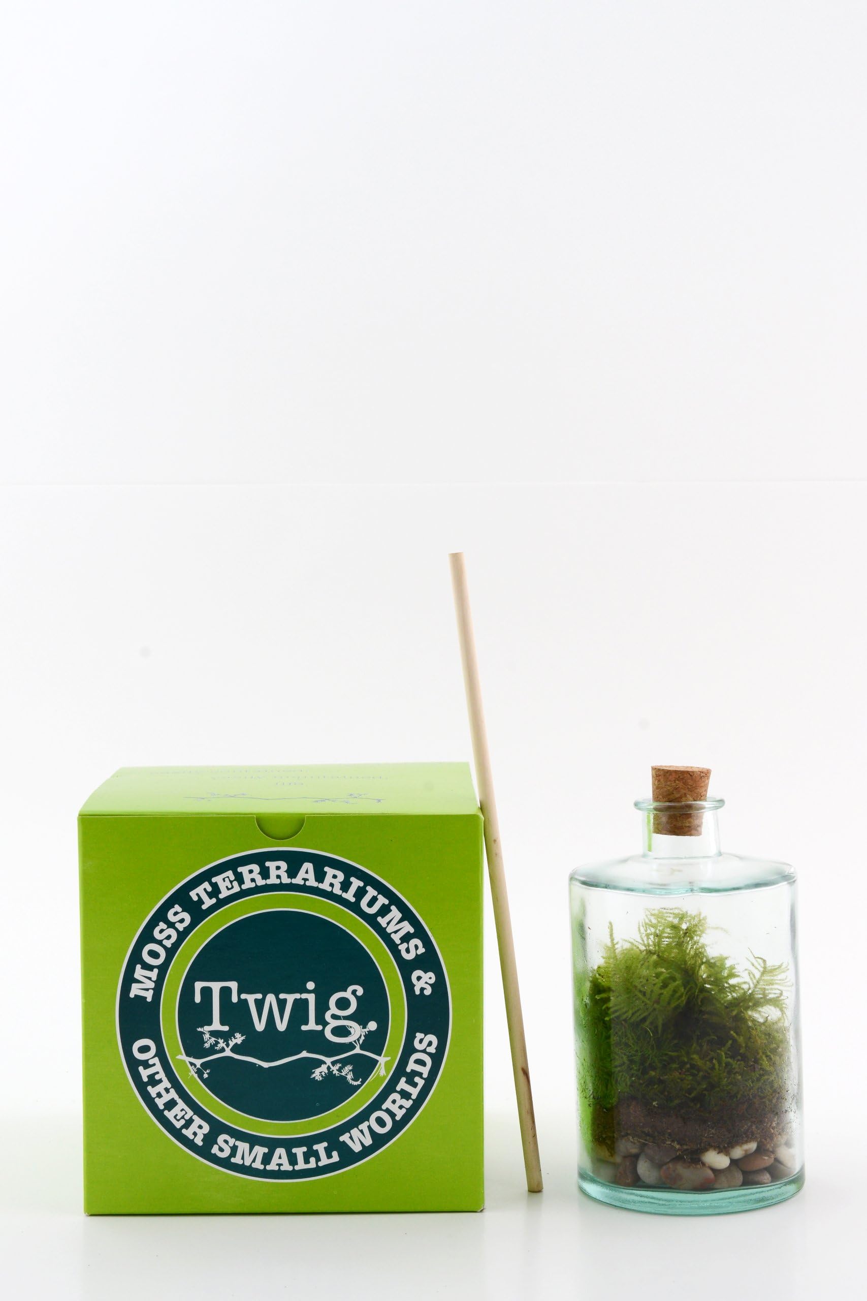Twig Terrariums Petit Vie Terrarium Kit