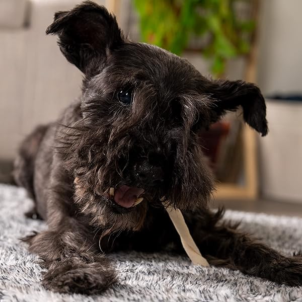 PET FACTORY AMERICAN BEEFHIDE 5″ TWIST STICKS DOG CHEW TREATS – NATURAL FLAVOR, 1 LB
