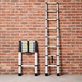 Neo Extendable Portable Foldable Telescopic Ladder 2.9M EN131 Stainless Steel view 2