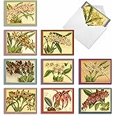 The Best Card Company - 10 Boxed Note Cards with Flowers - Blank Assorted Floral Notecards Bulk (4 x 5.12 Inch) - Tiger Orchids M10037BK