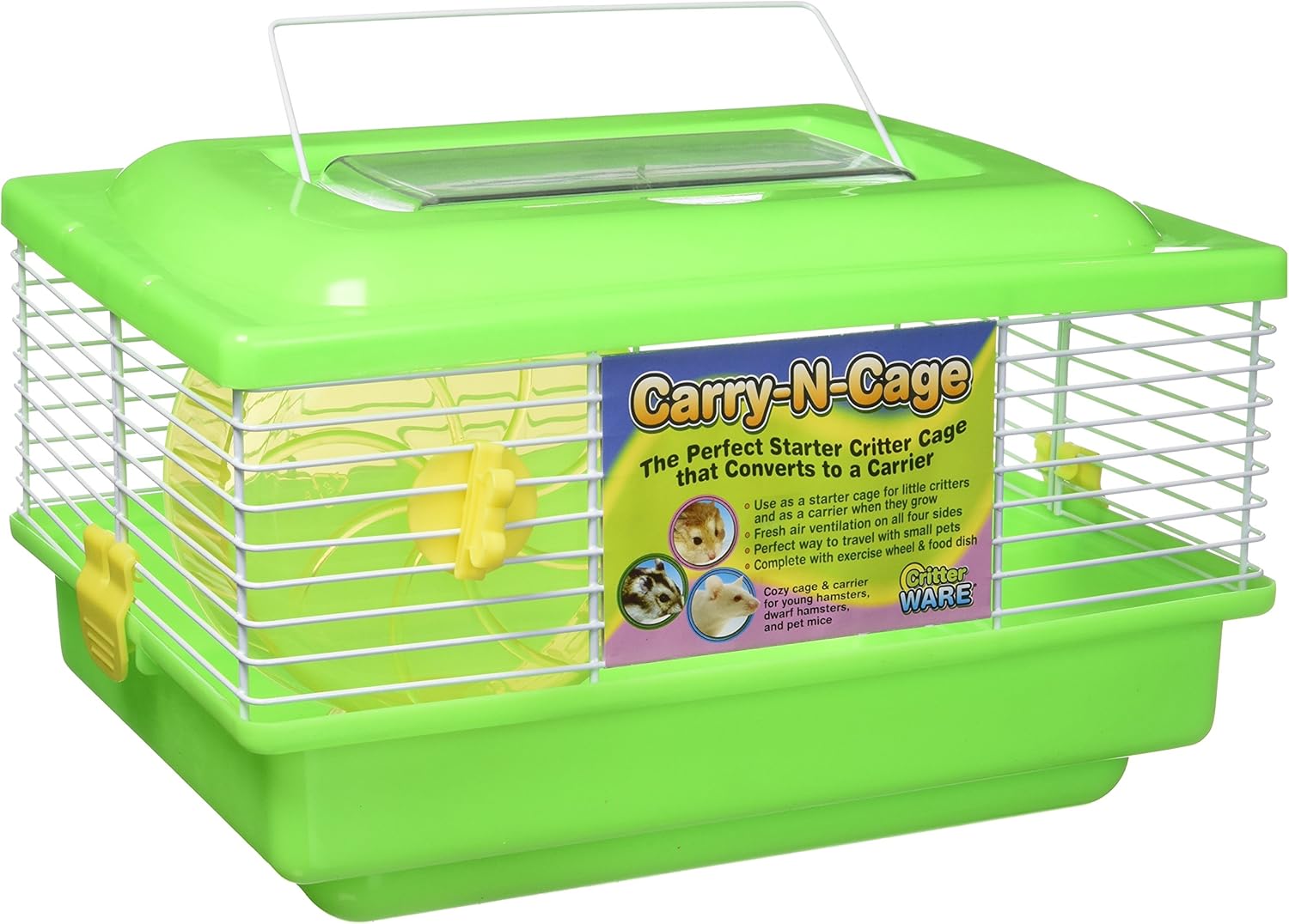 cockapoo cross yorkshire terrier