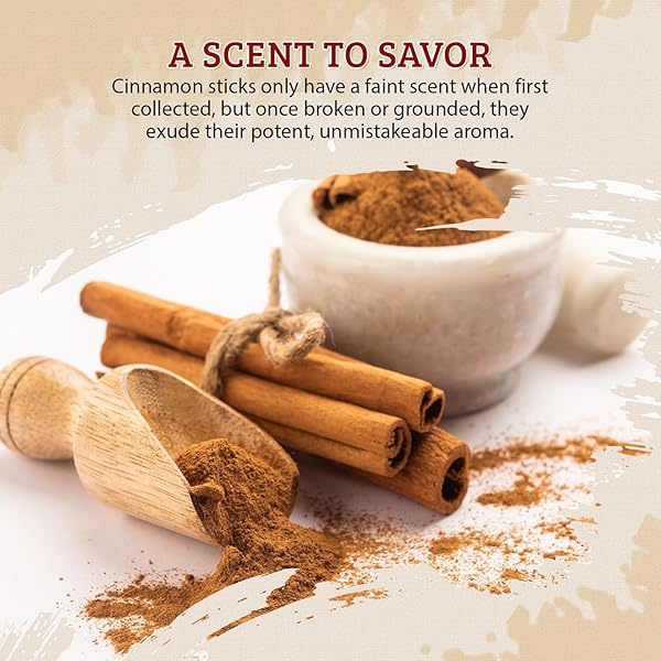 52USA CINNAMON STICKS, CINNAMON 16 OZ (453G), WHOLE CINNAMON STICKS, 100% RAW, KOSHER CERTIFIED, GLUTEN FREE, PURE & FRESH CINNAMON, PERFECT FOR BAKING, COOKING & BEVERAGES