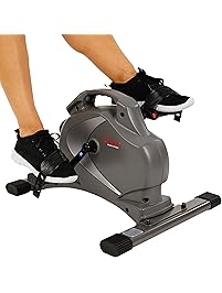 Sunny Health & Fitness SF-B0418 Magnetic Mini Exercise Bike, Gray