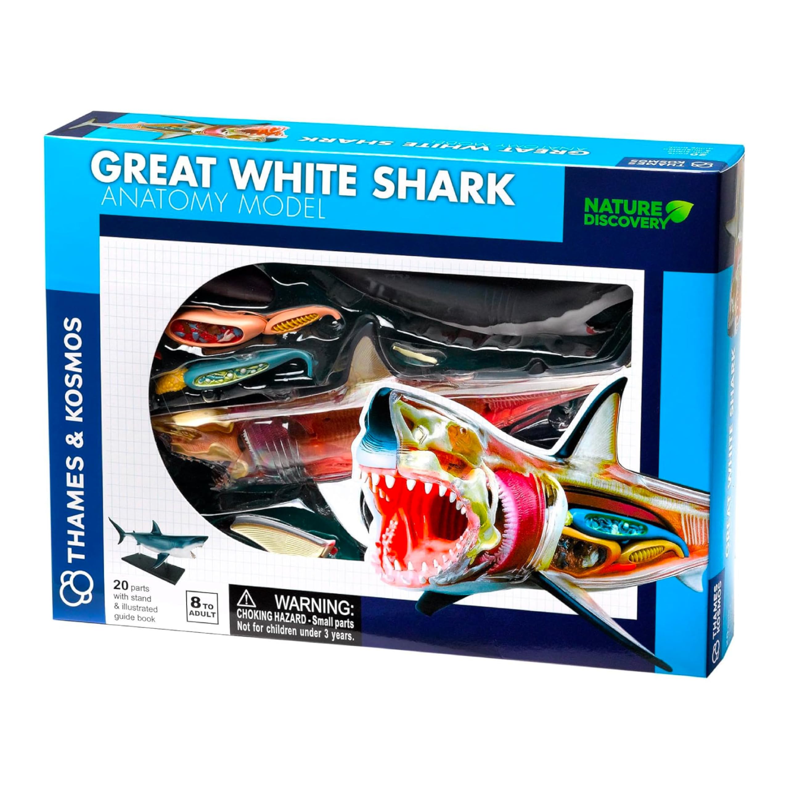 Thames and Kosmos | 261110 | Great White Shark Anatomy Model | 20 Parts with Stand and Illustrated Guide Book | Nature Discovery Range | Detachable Parts | 3D Models | Ages 8 To Adult