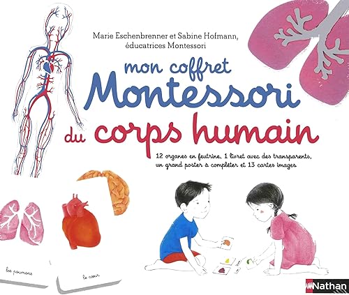 Download Mon coffret Montessori du corps humain - 6/9 ans PDF