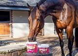 NAF Five Star GastriAid 1.8kg Advanced Horse Gut Health Supplement view 5