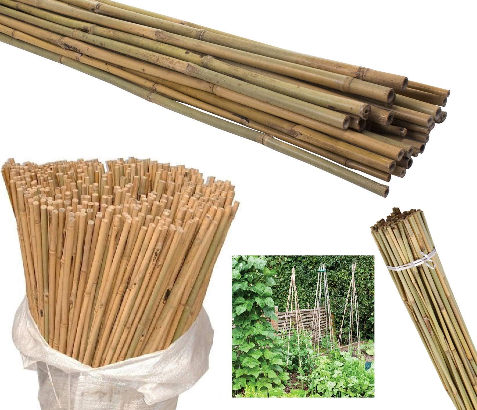 AQS INTERNATIONAL 50 x Professional Heavy Duty Natural Bamboo Canes Reusable Garden Plant Support Thick Strong Canes Stick (50 X 4FT Lenght)