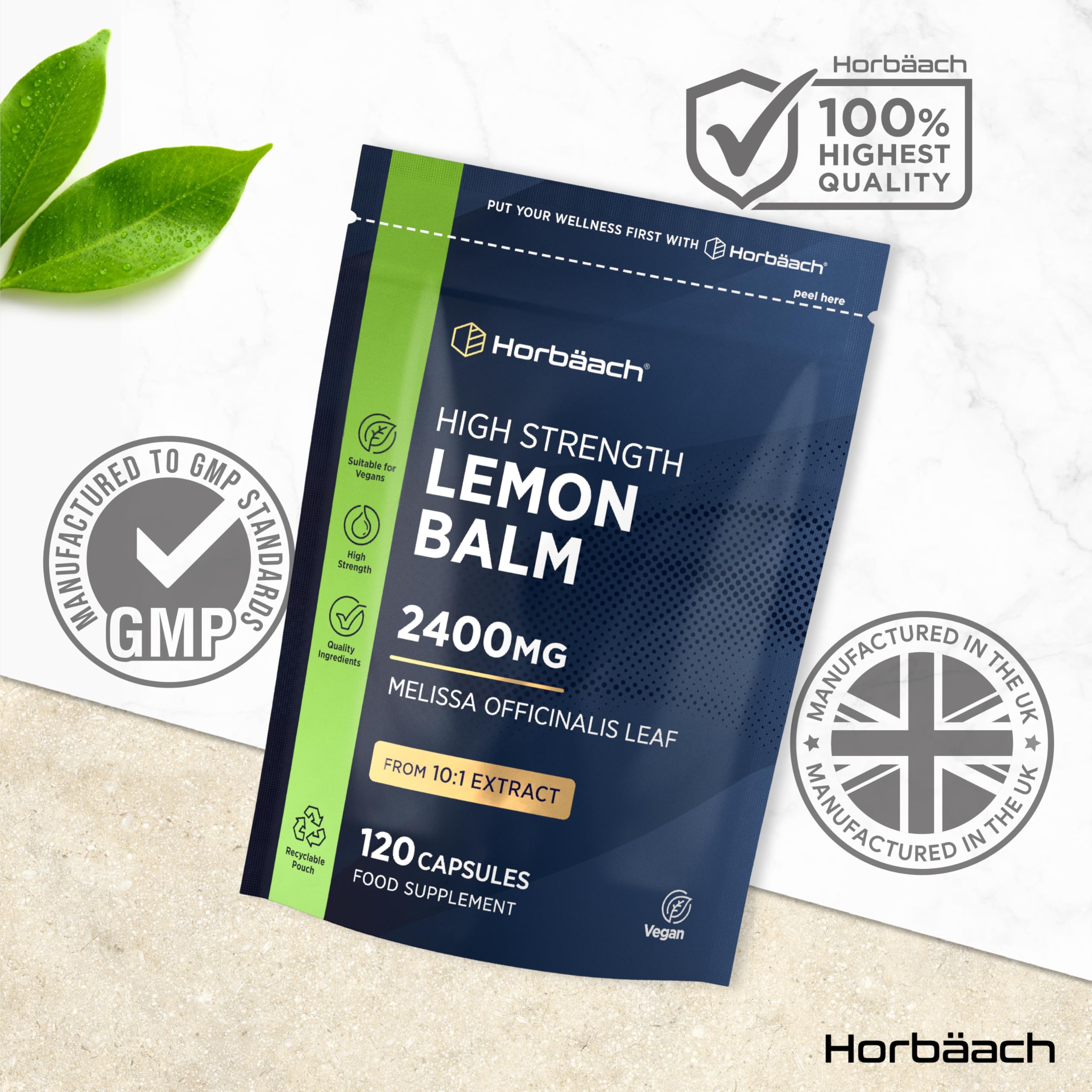 View 6