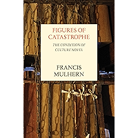 Figures of Catastrophe: The Condition of Culture Novel book cover Figures of Catastrophe: The Condition of Culture Novel book cover