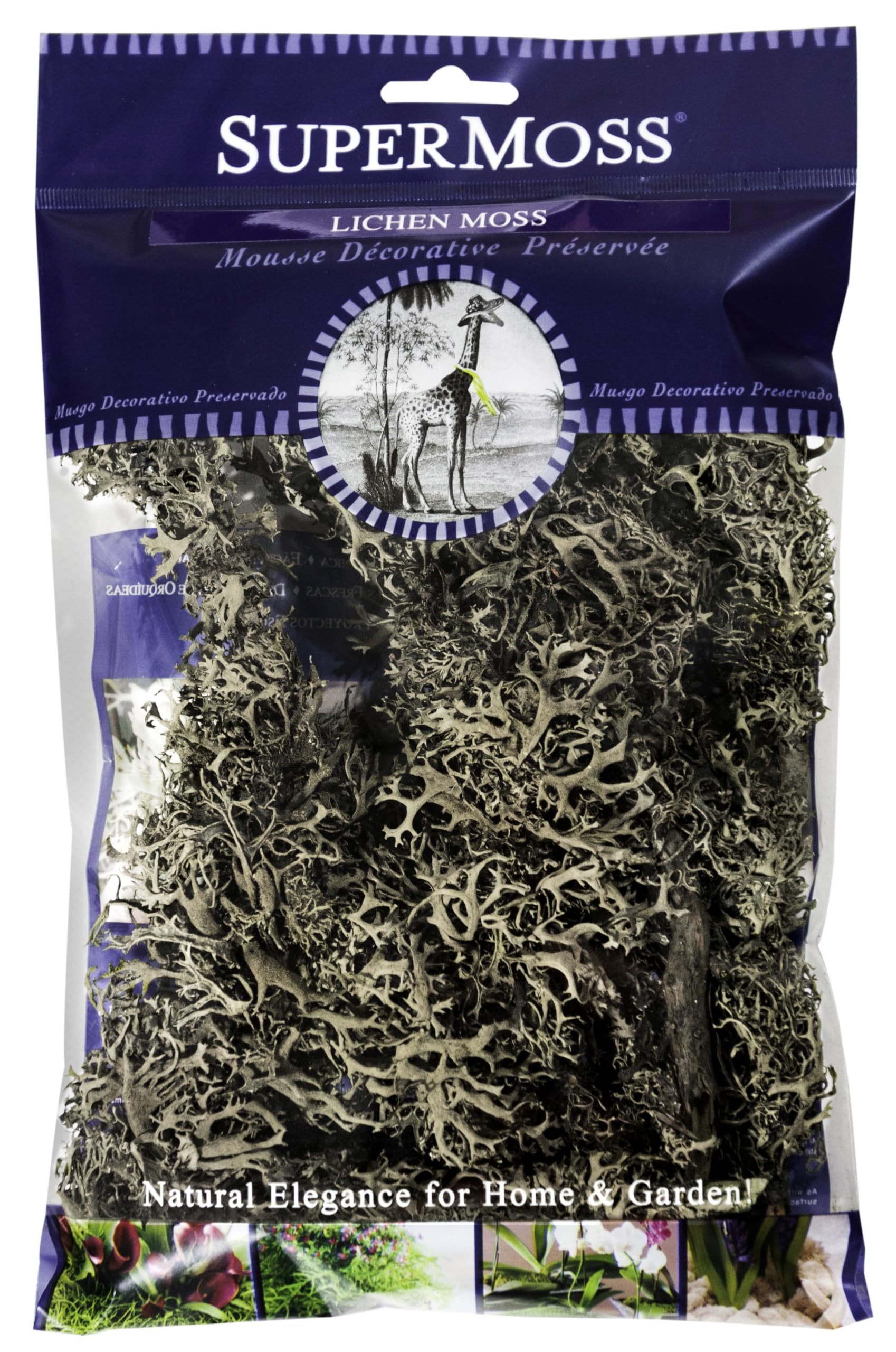 Photo 1 of SuperMoss Branched Lichen Parmelia, Natural Grey