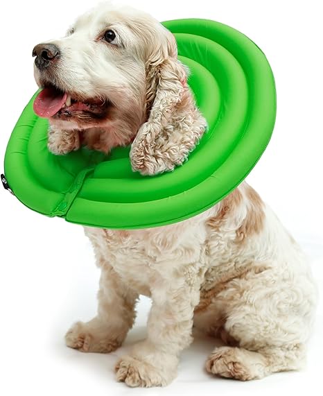 dog can still lick with cone