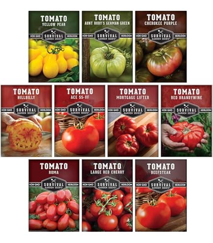 Brandywine, Pink - Slicer Tomato Seeds - Heirloom Untreated NON-GMO - Foto 11