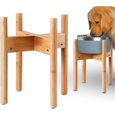 Amazon Best Sellers: Best Dog Raised Bowls