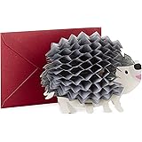 tumbling hedgehog amazon