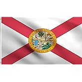 DMSE Florida State Flag 2X3 Ft Foot 100% Polyester 100D Flag UV Resistant (2' X 3' Ft Foot)
