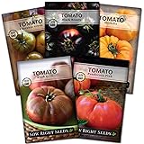Sow Right Seeds - Rare Colorful Heirloom Tomato