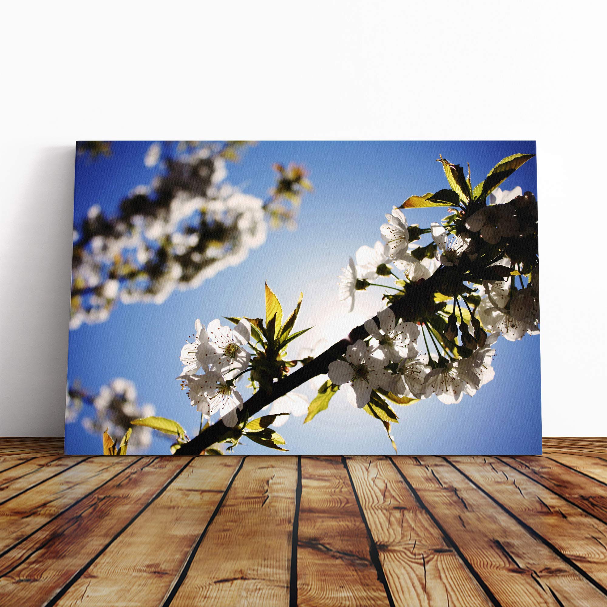 Flower White Cherry Blossom Tree Canvas Print | Gallery Wrapped 30mm Frame Wall Art | 20x14 inches | Ready to Hang | Modern Floral Picture | Living Room Bedroom Lounge Office