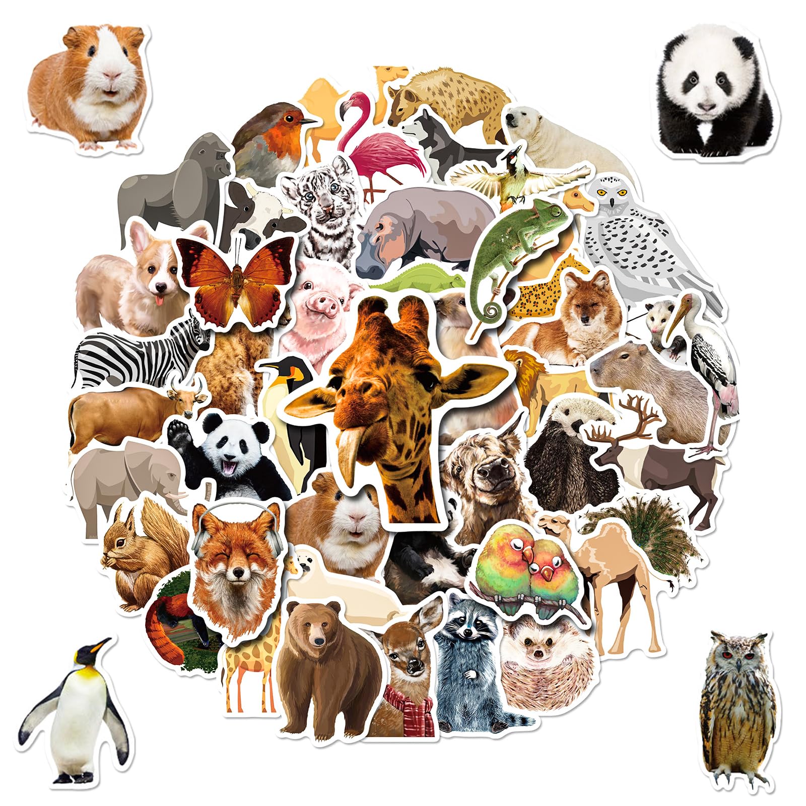 Cute Animal Water Bottle Stickers 200 Pcs Stickers for Kids Teens
