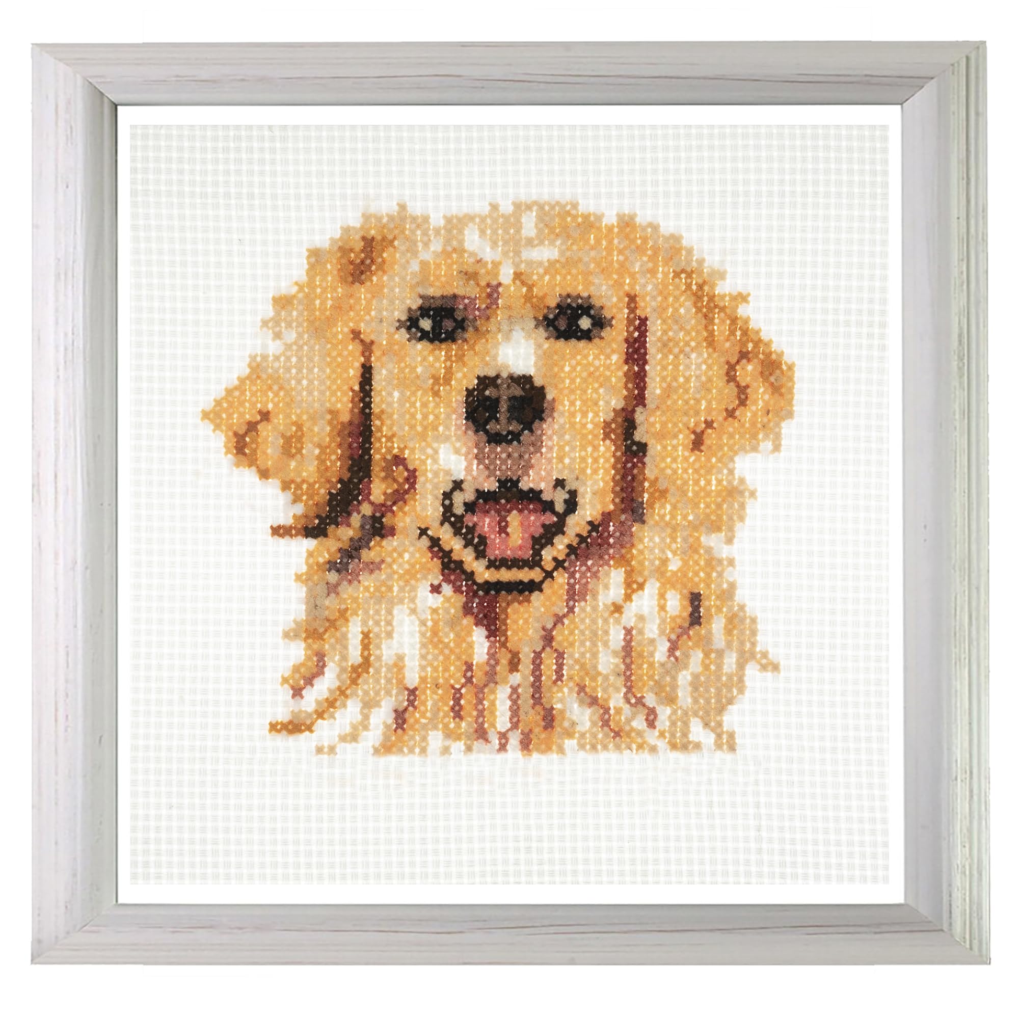 Trimits Mini Counted Cross Stitch Kits, 13 x 13cm (5 x 5in), Golden Retriever