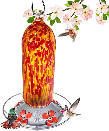 Amazon Com Grateful Gnome Hummingbird Feeder Hand Blown
