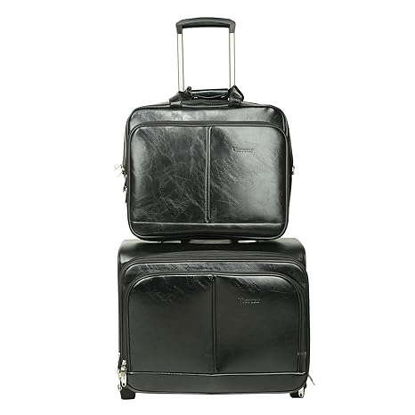 novex laptop trolley bag