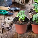 KINGLAKE 50Pcs 10cm Plastic Plant Pots with 100 Pcs White Plant Labels view 7