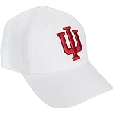 Desert Cactus Indiana University Embroidered Baseball Hat Cap | Officially Licensed IU Hoosiers Cotton Baseball Cap Brimmed Embroidered with Snapback Strap, Men Women Fan Gift Merch