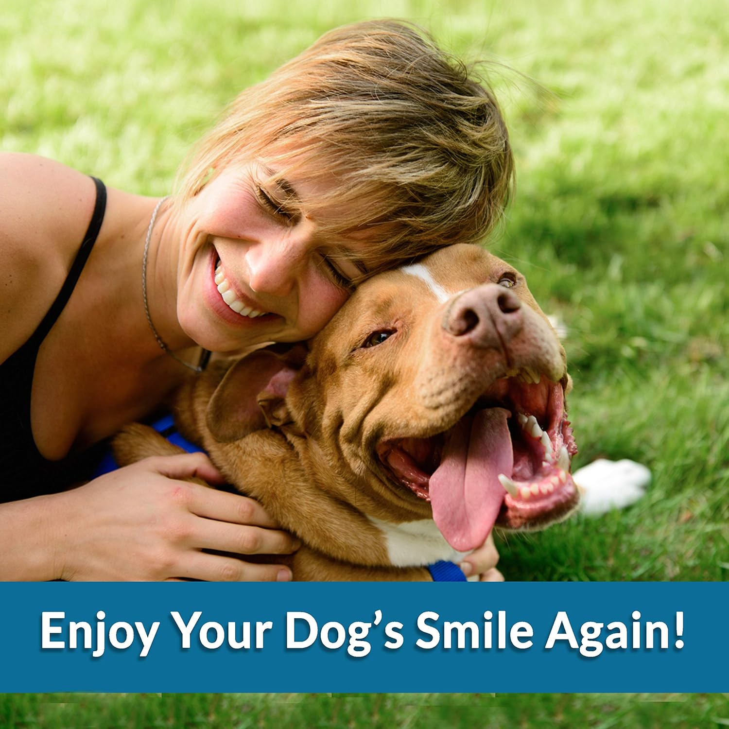 BestLife4Pets Oral Health for Dogs Dental Remedy - Highly Effective Natural Treatment for Inflammatory & Ulcerative Ailments, Stomatitis and Gingivitis. No Smell, No Side Effects : Pet Supplies