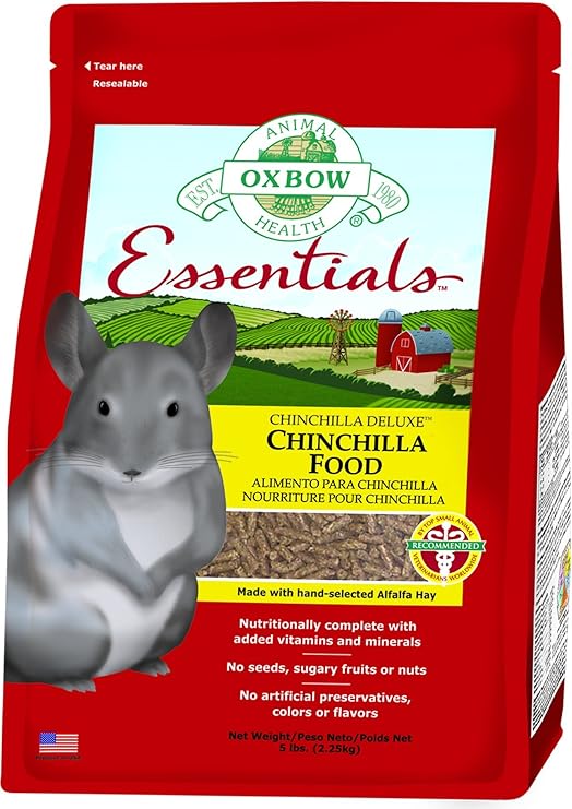 red chinchilla animal