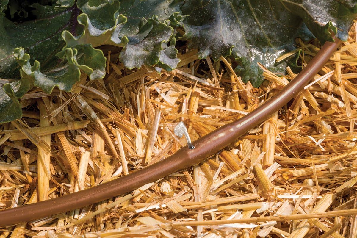 Rain Bird ET256-50S Drip Irrigation Pressure Compensating 1/4" Tubing, 6" Emitter Spacing, Brown : Garden & Outdoor