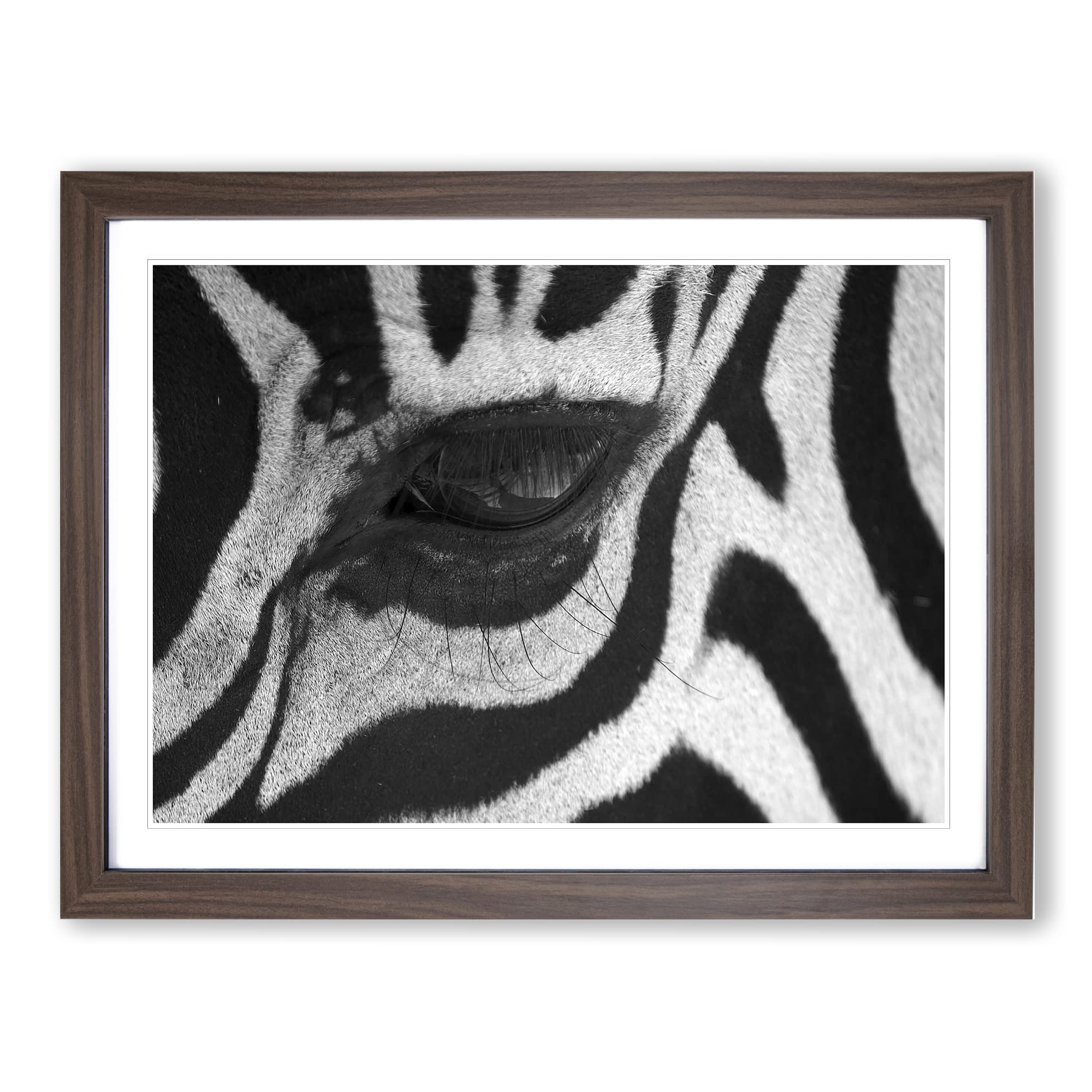 Zebra Eye Modern Framed Wall Art Print, Ready to Hang Picture for Living Room Bedroom Home Office Décor, Walnut A3 (46 x 34 cm)