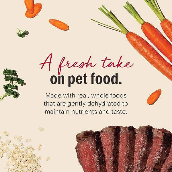 THE HONEST KITCHEN HUMAN GRADE WHOLEMADE™ DEHYDRATED WHOLE GRAIN BEEF & OAT DOG FOOD, 7 LB BOX