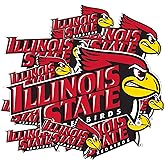 Desert Cactus Illinois State University Sticker Illinois State Redbirds Vinyl Decal Laptop Water Bottle Car Scrapbook Sheet (Type 3-1)