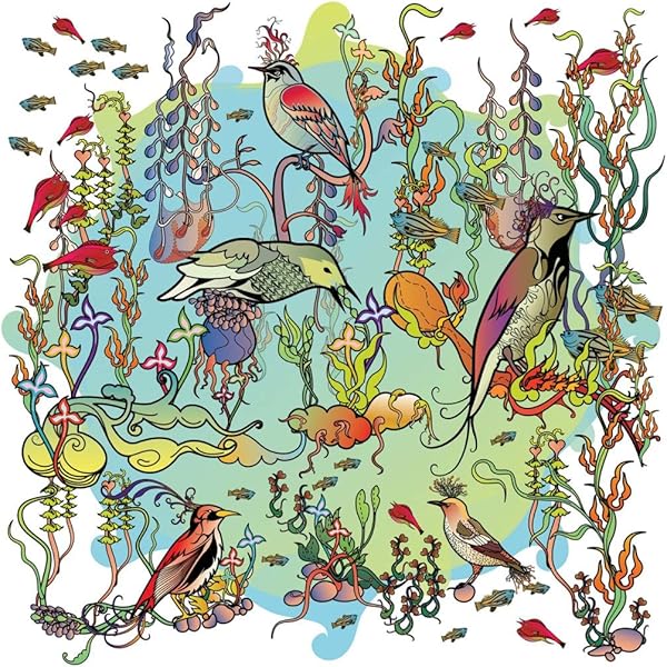 John Zorn - O'O - Amazon.com Music
