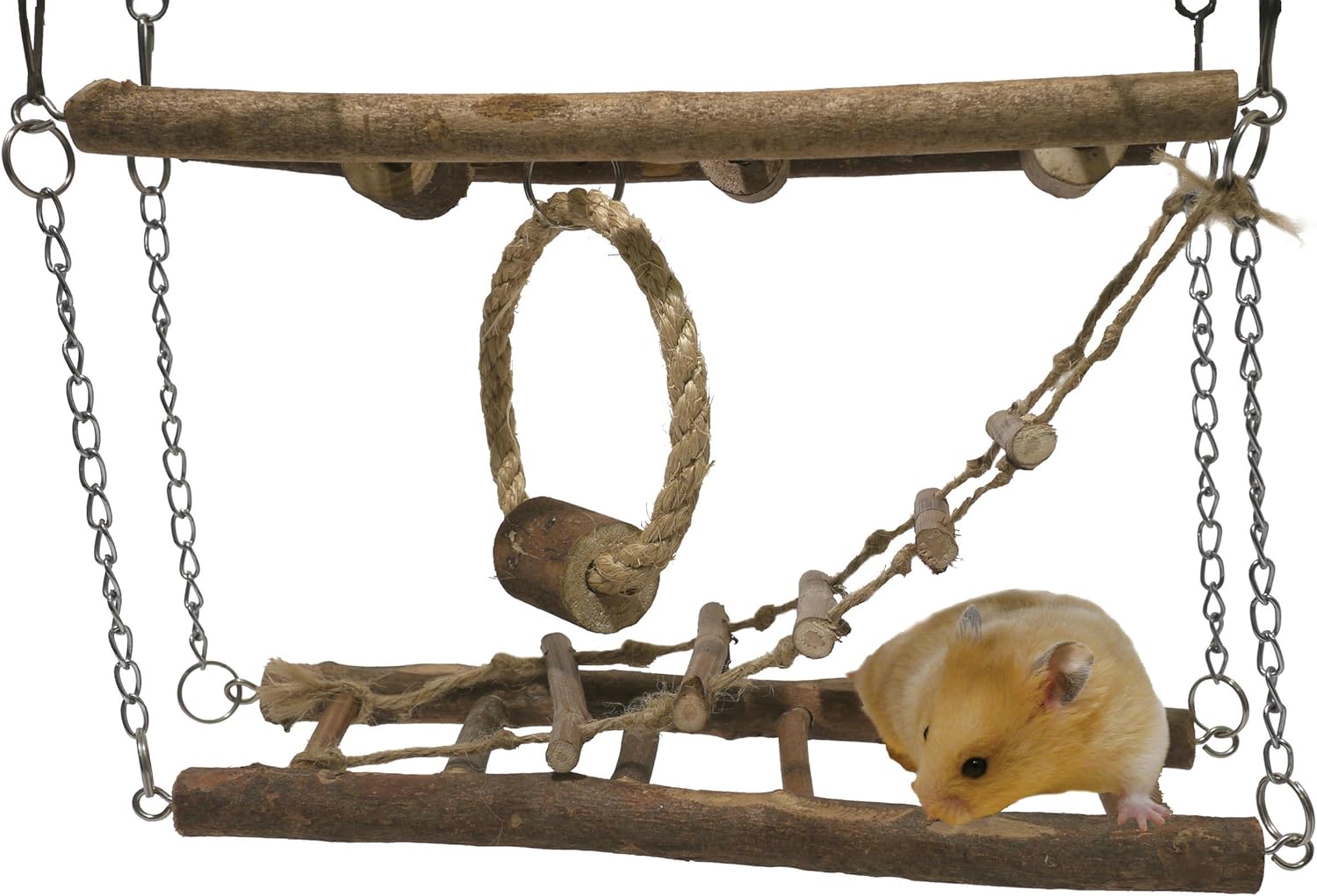 Best suspension bridge with hammock