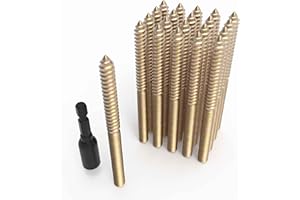 Pisman 5/16" X 3-1/2" 20PCS Single Pointed Double Ended Screws Have Various Sizes.