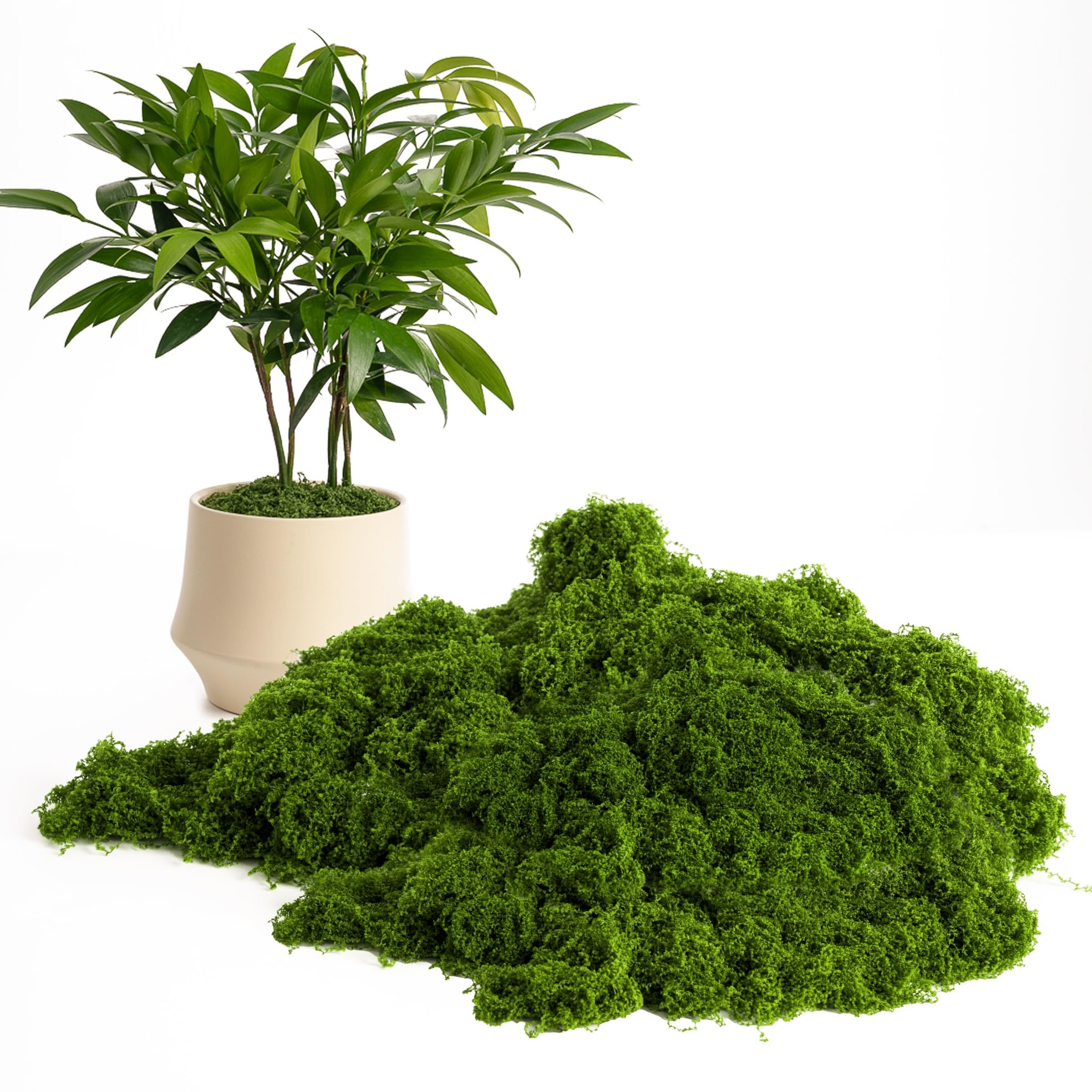 Photo 1 of 5.3OZ Fake Green Moss – Ultra-Realistic Artificial Preserved Moss. Perfect for crafts, DIY decor, potted mulching, fairy gardens, weddings & table centerpieces. Lifelike, no maintenance. (DARK GREEN)