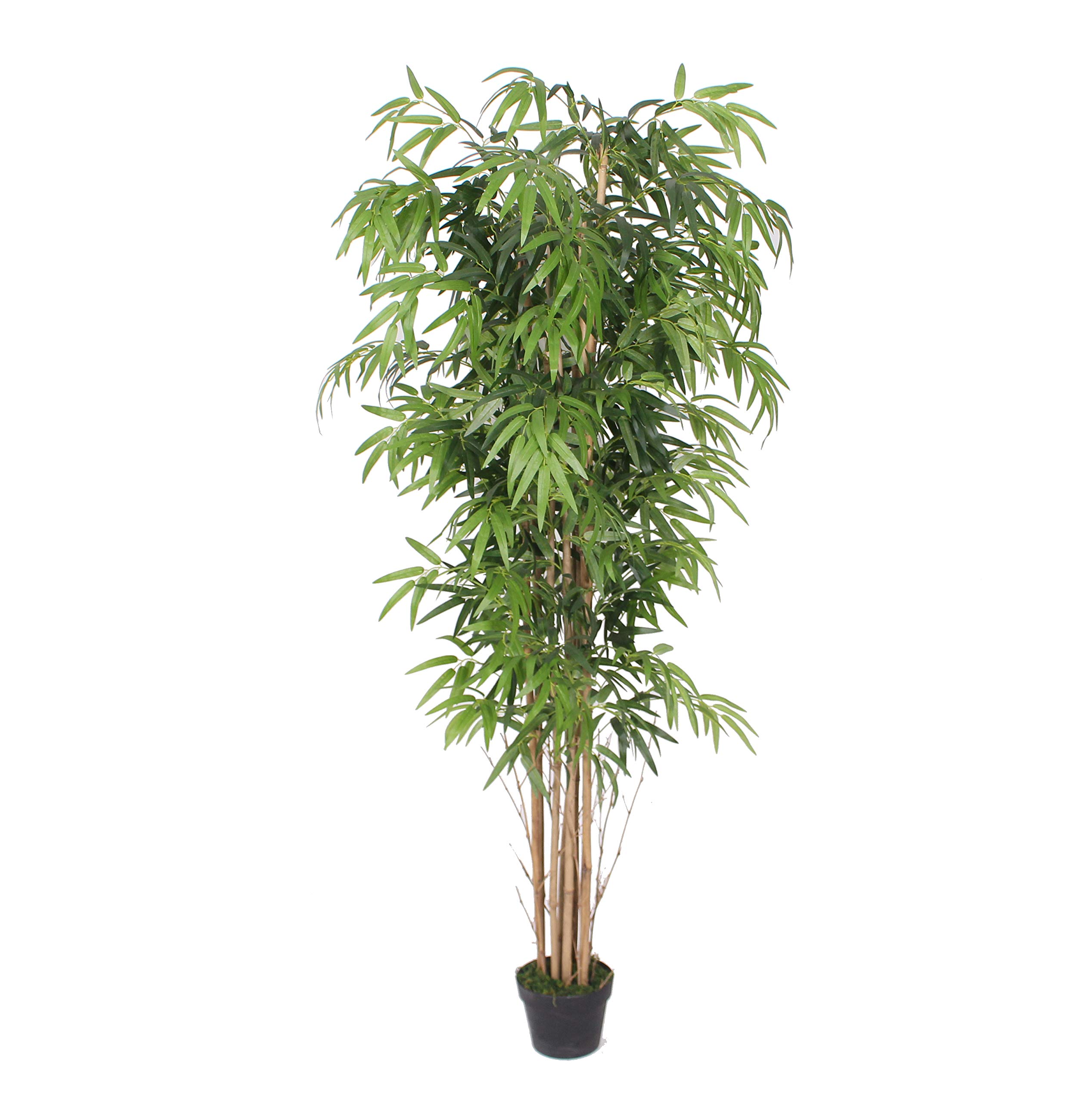 AMERIQUE AMT24125 Hermosa planta artificial de árbol de bambú denso con maceta de plástico para vivero, tecnología Real Touch, protección UV, tecnología única 6 Super calidad, 6', verde