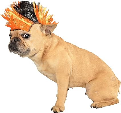 Dog mohawk wig Outlet