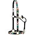 Weaver Equine Nylon Horse Halter, Comfort Double-Ply Webbing, Basic Non Adjustable Halters for Horses, Equine Tack,Average Size, Blue