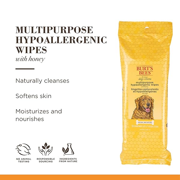 BURT’S BEES FOR PETS HONEY MULTIPURPOSE DOG GROOMING WIPES, GENTLE HYPOALLERGENIC SPOT CLEANING SHEETS, PH BALANCED NATURAL ORIGIN FORMULA FOR PAWS, FACE AND BUTT, 50 COUNT