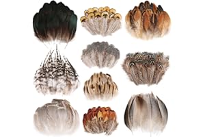 MehelloFeather Small Natural Pheasant Feathers 10 Style Mixed Feathers for Cowboy Hat Decorative Feathers (300Pcs)