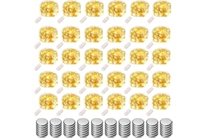 30 Pack Led Fairy Lights Battery Operated - Mini Fairy String Lights 7ft Silver Wire 20 LED Firefly Lights for Mason Jars Bed