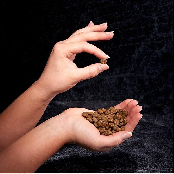 CRAVE GRAIN FREE HIGH PROTEIN ADULT DRY DOG FOOD, CHICKEN, 4 LB. BAG